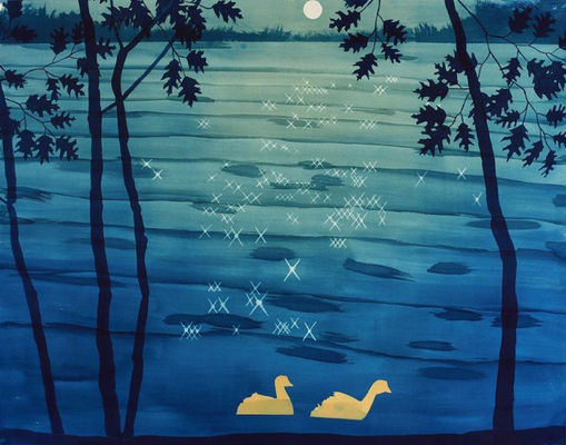 A wonderment for the world around us